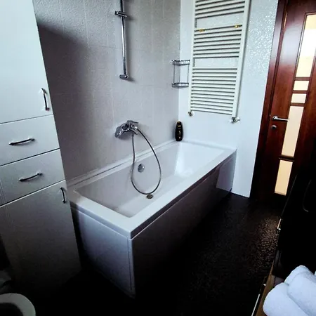 Ferval Confort Apartment Craiova